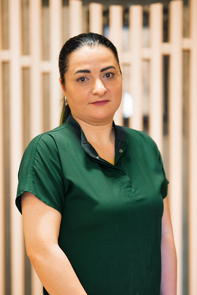 Stănculescu Mihalea